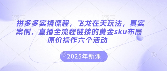拼多多实操课程,飞龙在天玩法,真实案例,直播全流程链接的黄金sku布局原价操作六个活动-俗人圈网创