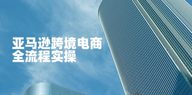 （14252期）亚马逊跨境电商全流程实操，教你从零开始，掌握店铺运营与广告技巧-俗人圈网创