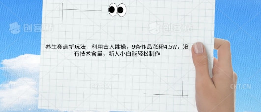 AI养生赛道新玩法，10条作品涨粉5.2W，操作简单，新人小白能轻松制作-俗人圈网创