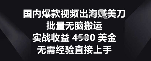 国内爆款视频出海挣美刀,批量无脑搬运,实战收益4.5k,无需经验直接上手-俗人圈网创