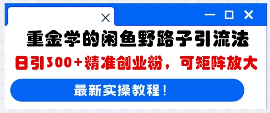 重金学的闲鱼野路子引流法，日引300+精准创业粉，可矩阵放大-俗人圈网创
