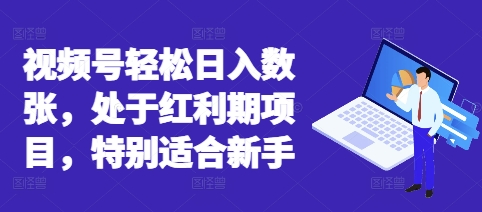 视频号轻松日入数张,处于红利期项目,特别适合新手-俗人圈网创