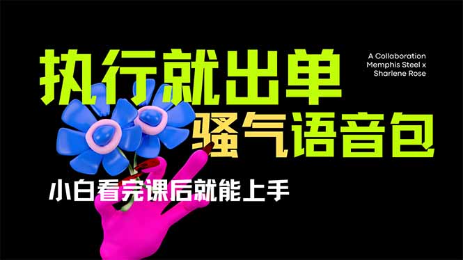 （14170期）爆火全网的开车导航骚气语音包,只要执行就出单，小白看完课程就能实操...-俗人圈网创