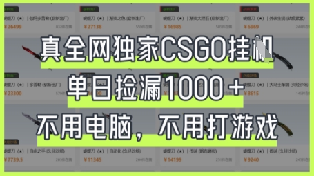 真全网独家CSGO挂G，单日捡漏1k+【揭秘】-俗人圈网创