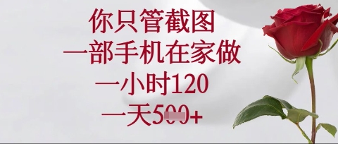 你只管截图,一部手机在家操作,一小时120.一天5张【揭秘】-俗人圈网创
