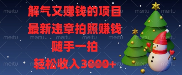 解气又挣钱的项目，最新违章拍照挣钱，随手一拍，轻松收入数张【揭秘】-俗人圈网创